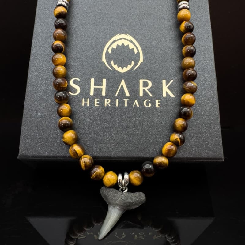 shark heritage jewelry