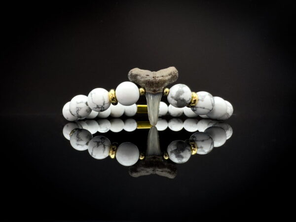 fossil shark tooth bracelet with howlite gemstones