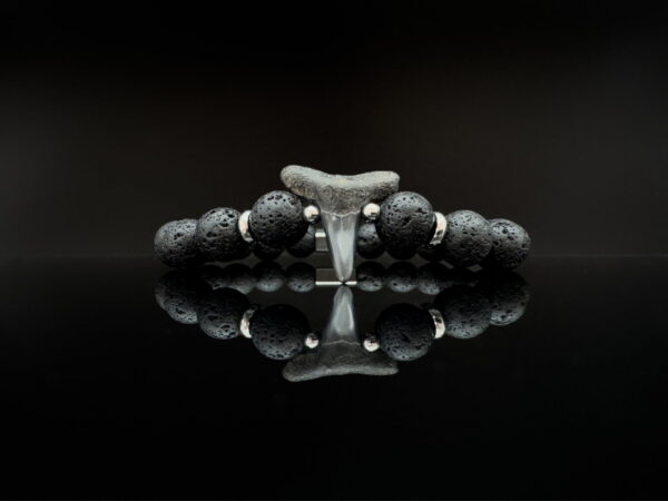 fossil shark tooth bracelet with lava stones