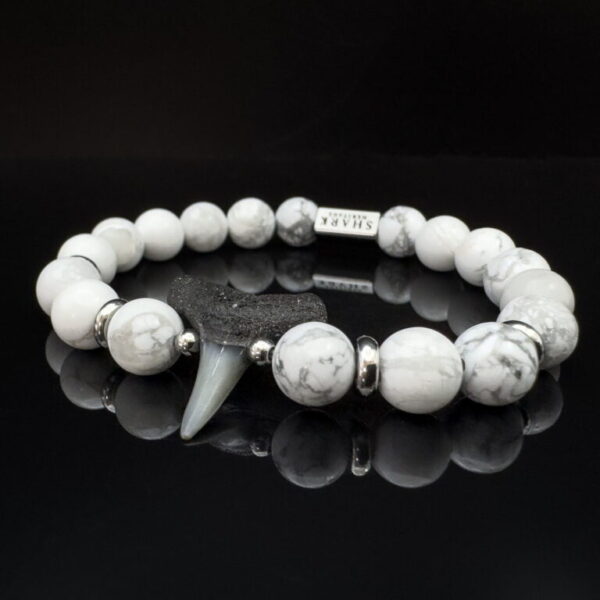 fossil shark tooth bracelet