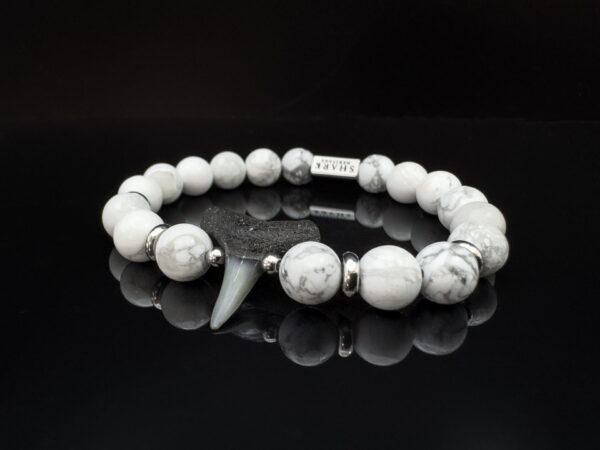 fossil shark tooth bracelet with howlite gemstones by shark heritage