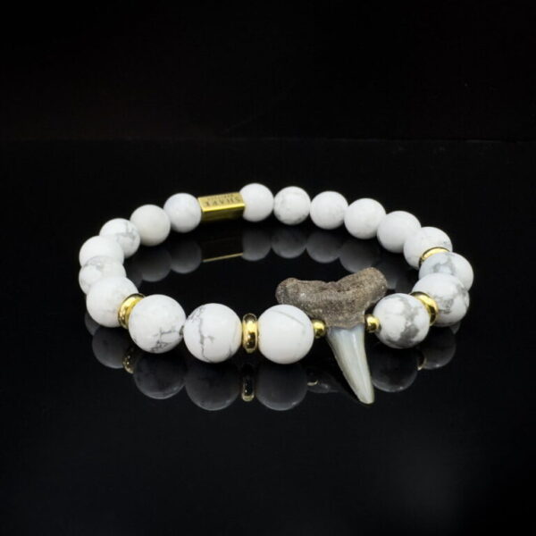 Fossil shark tooth bracelet with howlite gemstones