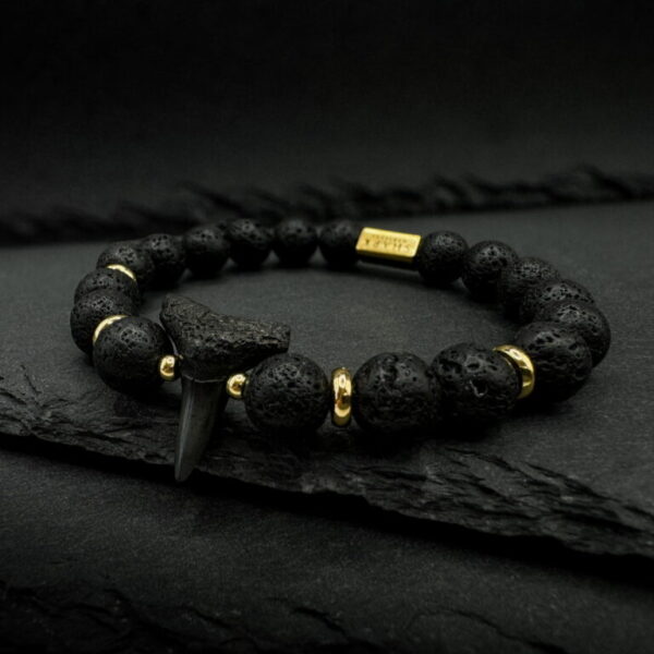 fossil shark tooth bracelet with lava stone and 18k gold plated beads