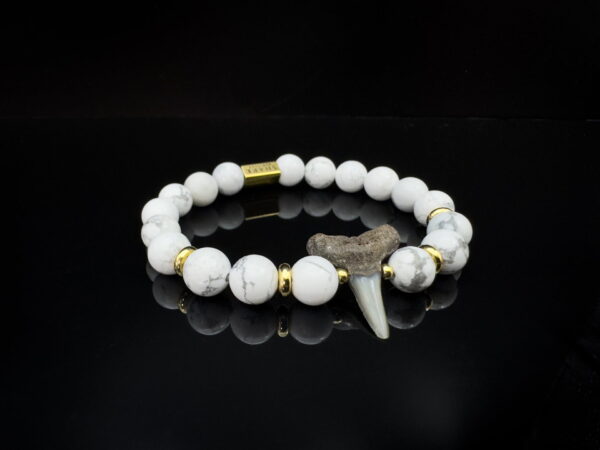 Fossil shark tooth bracelet with howlite gemstones