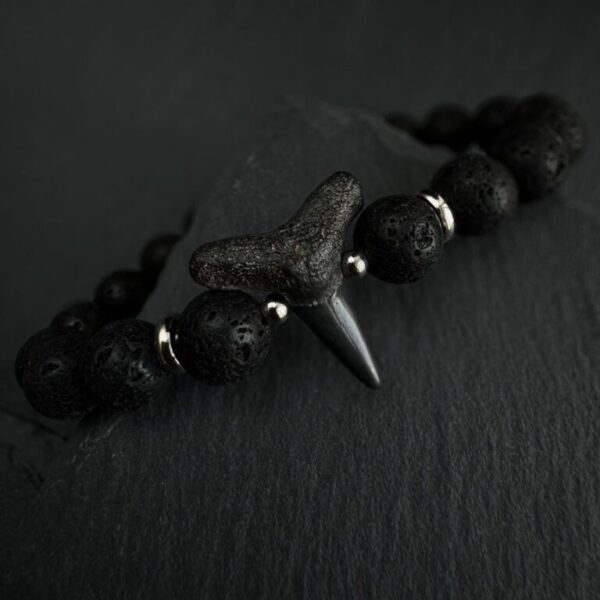unisex fossil shark tooth bracelet