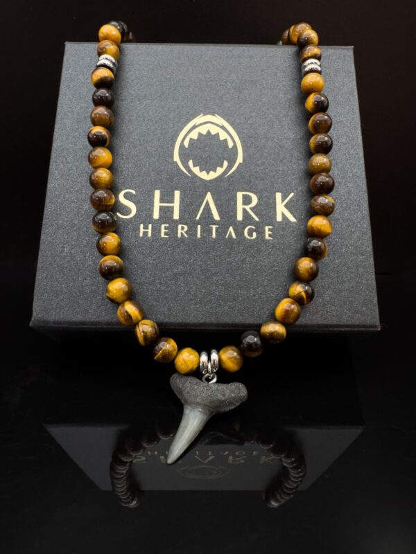 premium fossil shark tooth necklace with tiger eye natural gemstones. men's premium jewelry