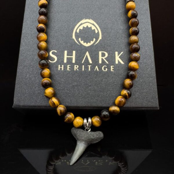 premium fossil shark tooth necklace with tiger eye natural gemstones. men's premium jewelry