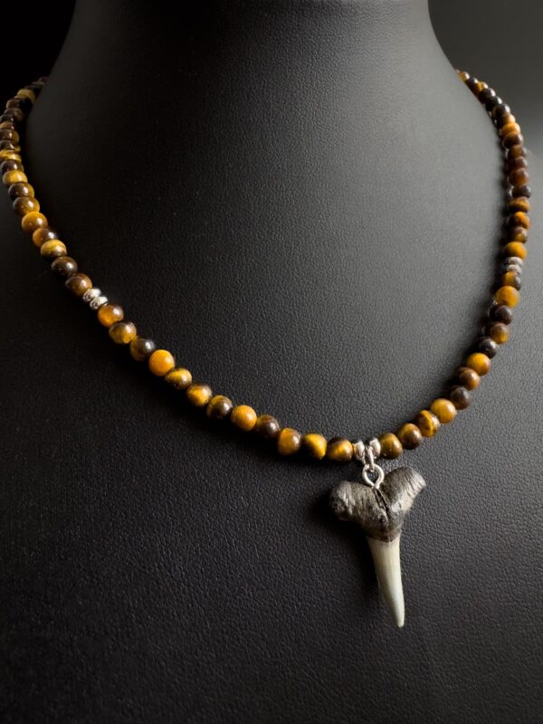 shark fossil necklace with tiger eye gemstones. women's premium jewelry