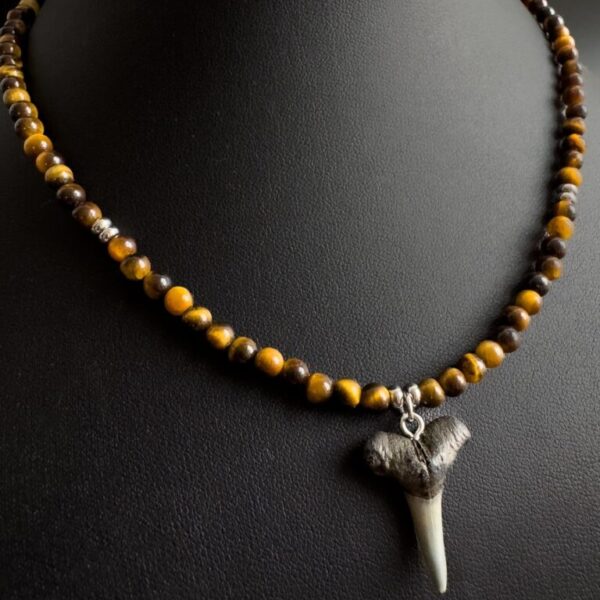 shark fossil necklace with tiger eye gemstones. women's jewelry