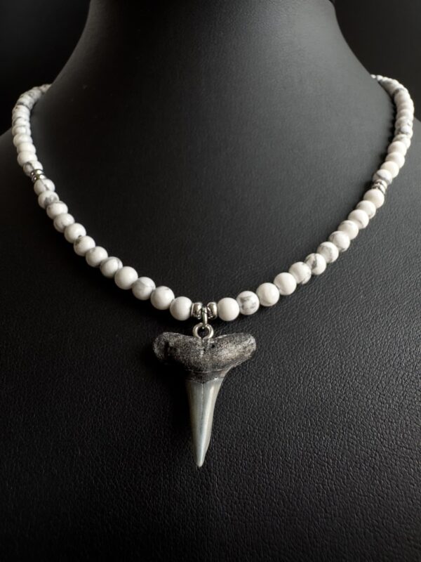 fossil shark tooth necklace premium jewelry