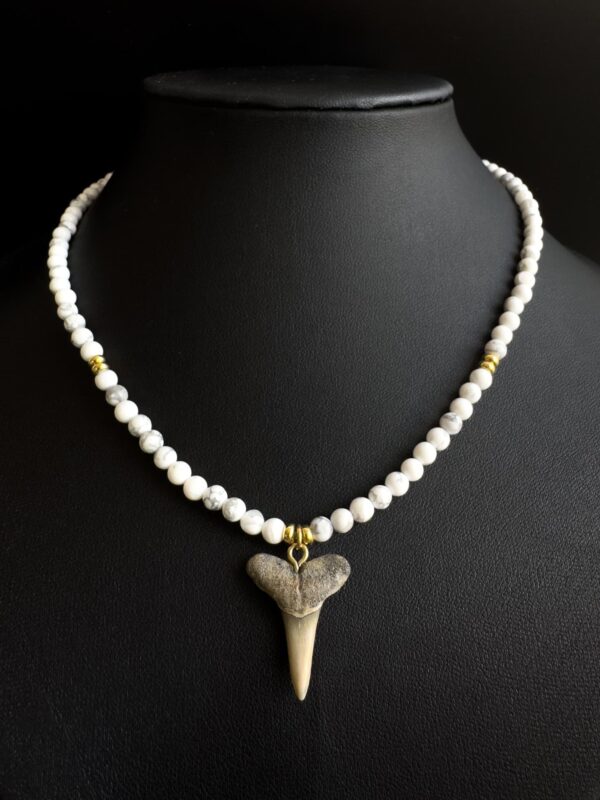 fossil shark tooth necklace for women