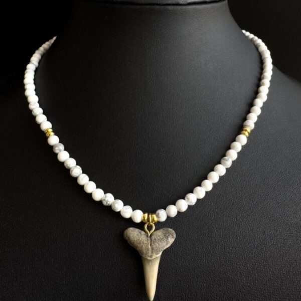 fossil shark tooth necklace for women