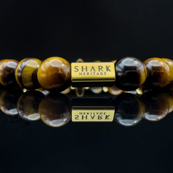 fossil shark tooth gemstone bracelet with tiger eye gemstones