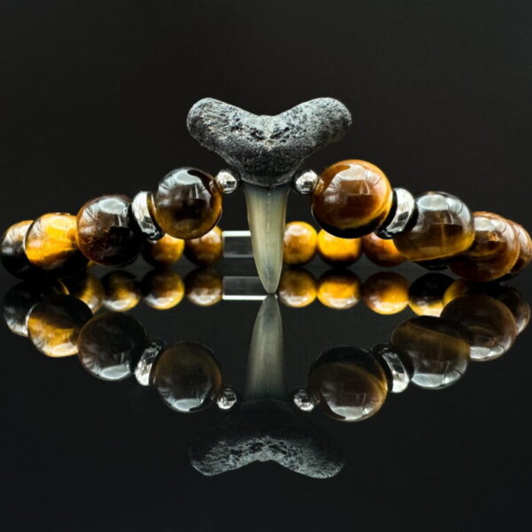 fossilized shark tooth bracelet with tiger eye gemstones