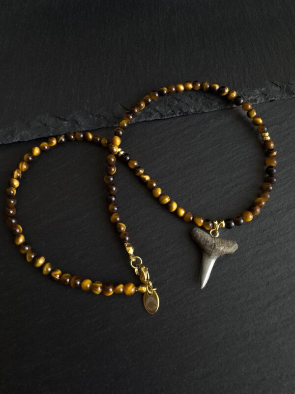 fossilized shark tooth necklace by shark heritage