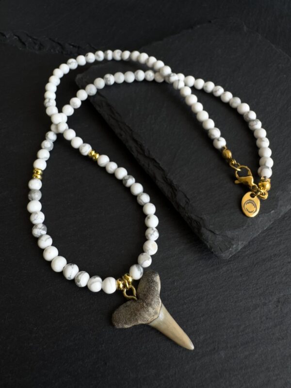 fossilized shark tooth necklace with howlite gemstones