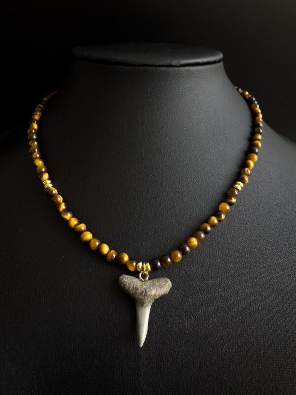 fossilized shark tooth pendant