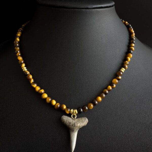 fossilized shark tooth pendant