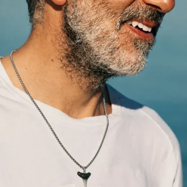 shark tooth necklace. Fossil shark tooth on a stainless steel chain.
