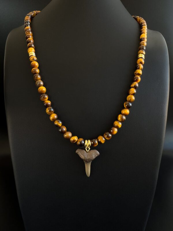 men fossil shark tooth necklace with tiger eye gemstones