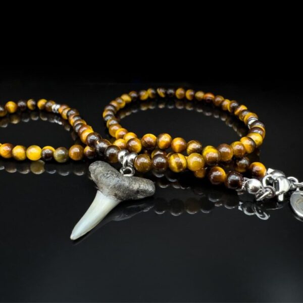 mens shark fossil tooth gemstone necklace