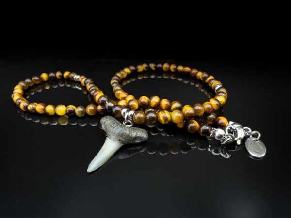 mens shark fossil tooth gemstone necklace