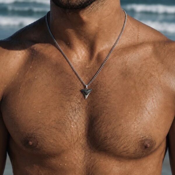 Bull shark fossil tooth made into a necklace with steel chain.