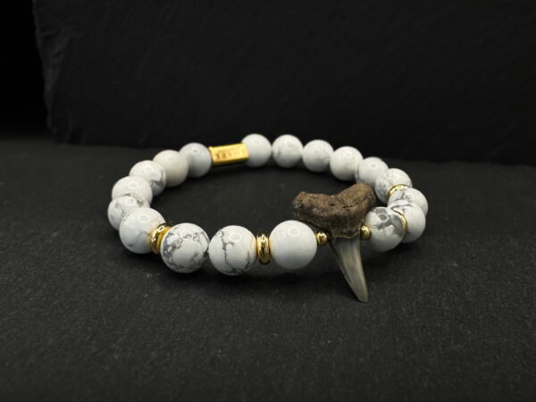 fossil shark tooth bracelet