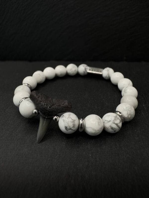 shark fossil tooth bracelet by shark heritage