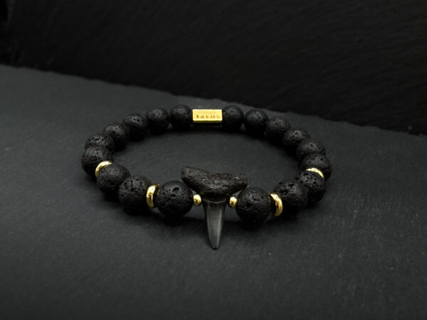 shark fossil tooth bracelet with lava rock gestomes