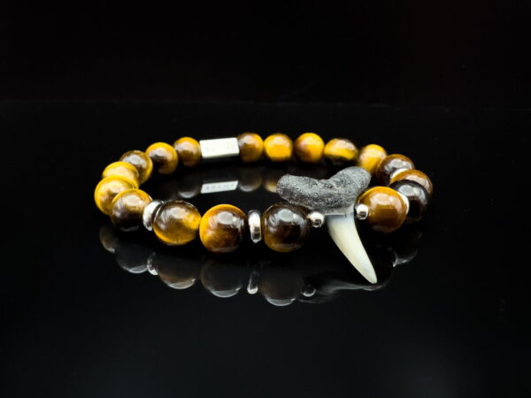 shark tooth bracelet with tiger's eye gemstones by shark heritage