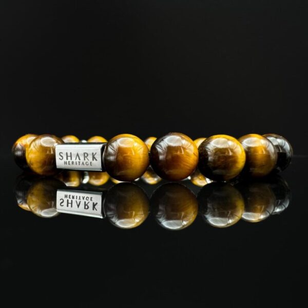 shark tooth bracelet tiger eye gemstone