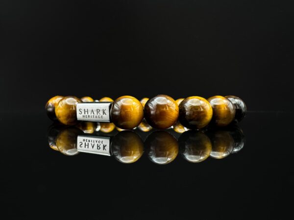 shark tooth bracelet with tiger eye gemstones and stainless steel beads