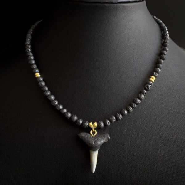 shark tooth fossil necklace with gold details