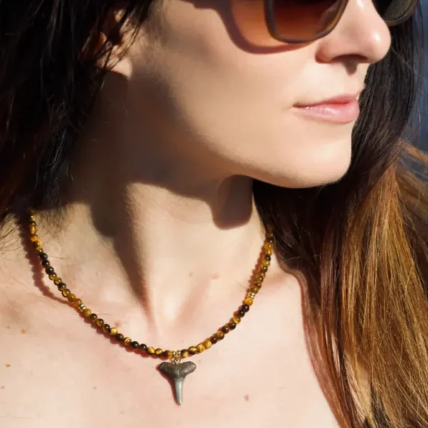 fossilized shark tooth pendant