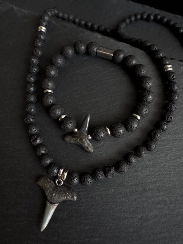 shark tooth necklace and a bracelet together