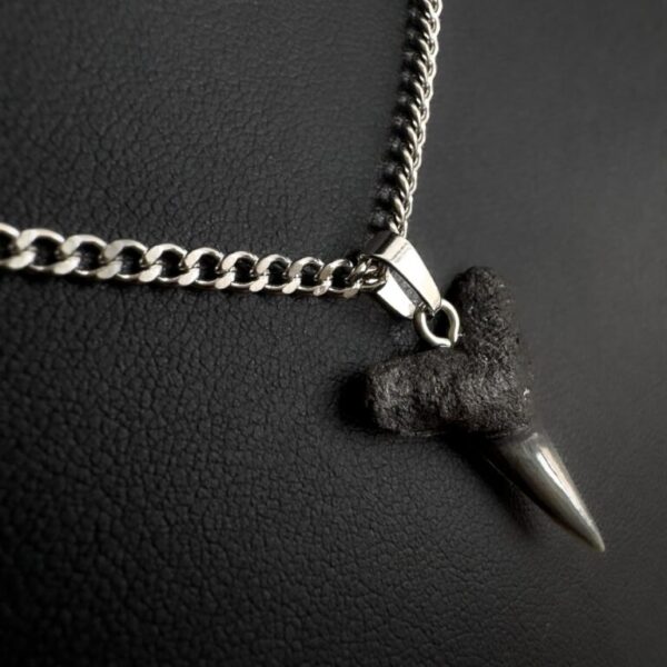 shark tooth necklace. Fossil shark tooth on a stainless steel chain.