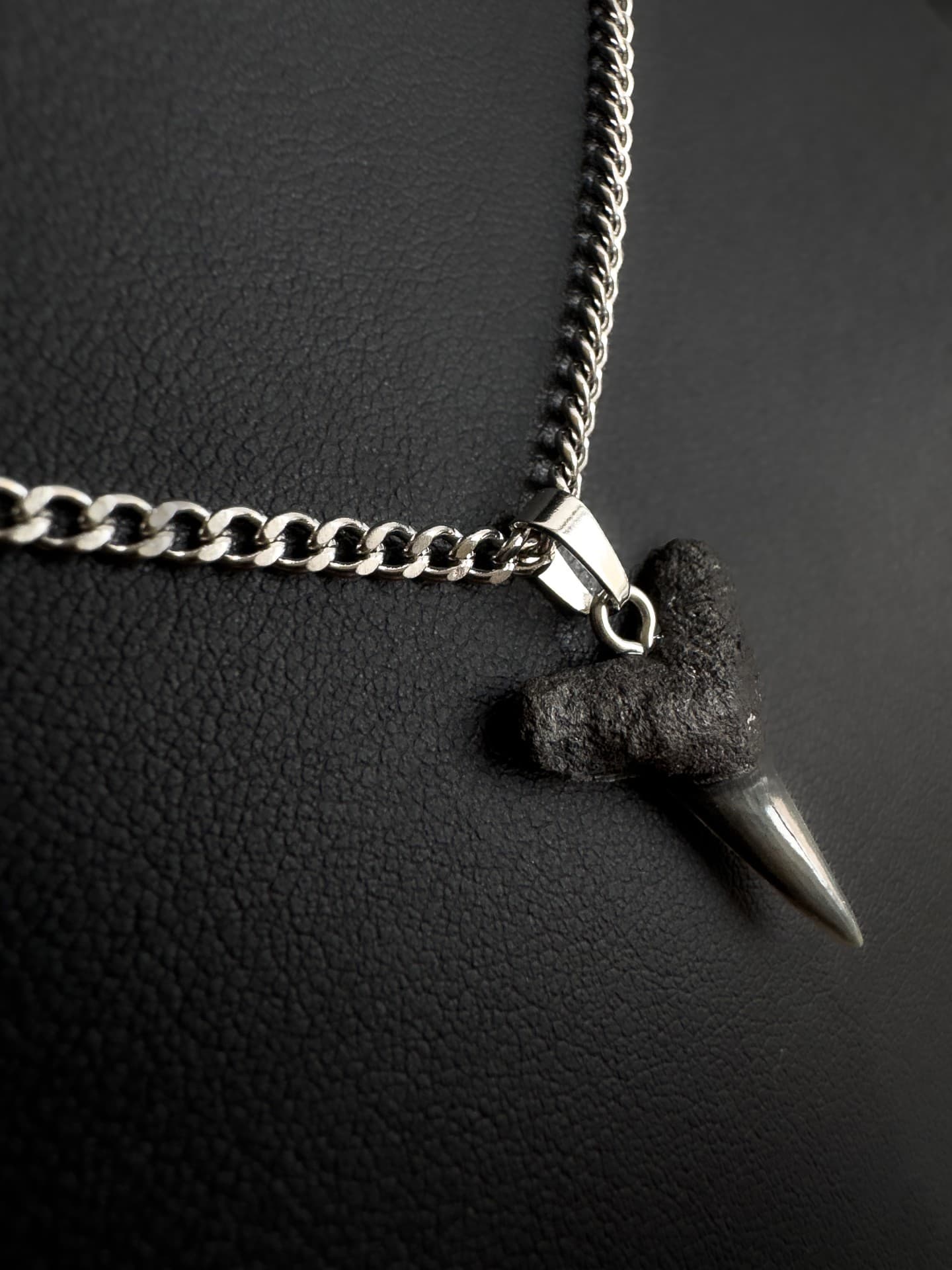 shark tooth necklace. Fossil shark tooth on a stainless steel chain.