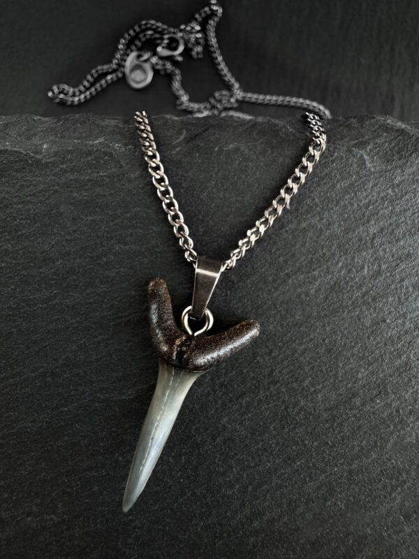 shark-tooth-necklace-2