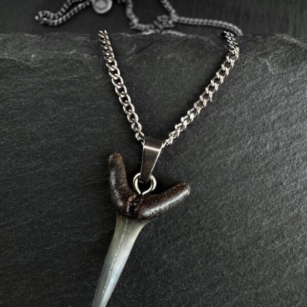 shark-tooth-necklace-2