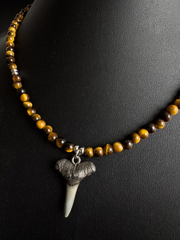 Shark tooth necklace with natural tiger eye gemstones.