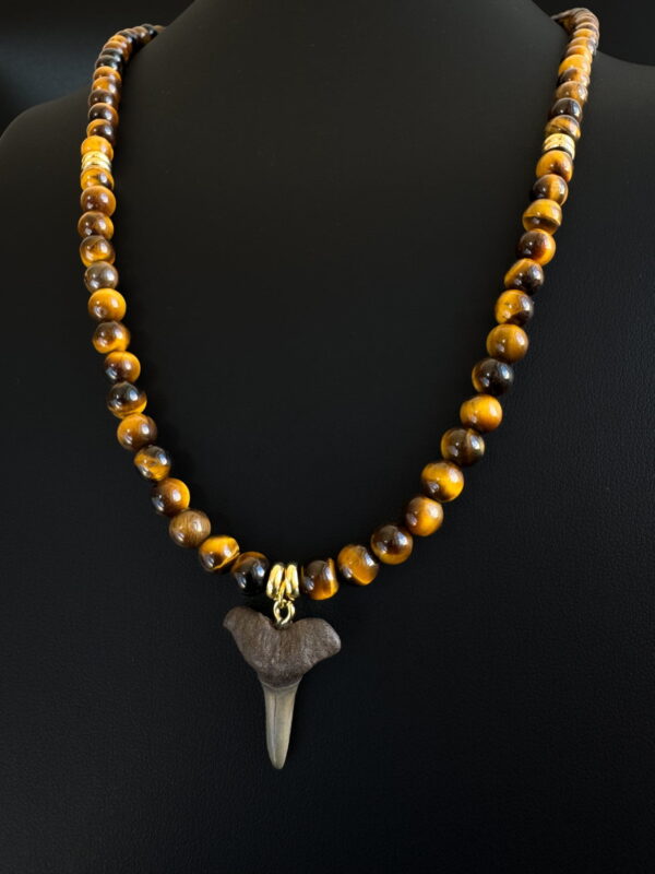 tiger eye gemstone necklace with fossilized shark tooth