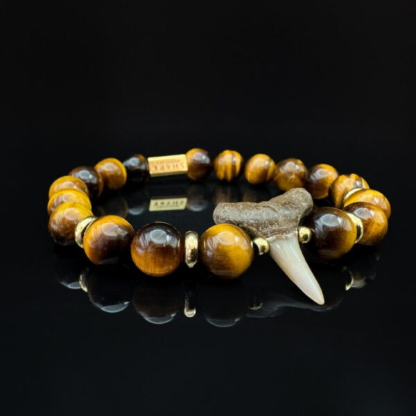 fossilized shark tooth bracelet