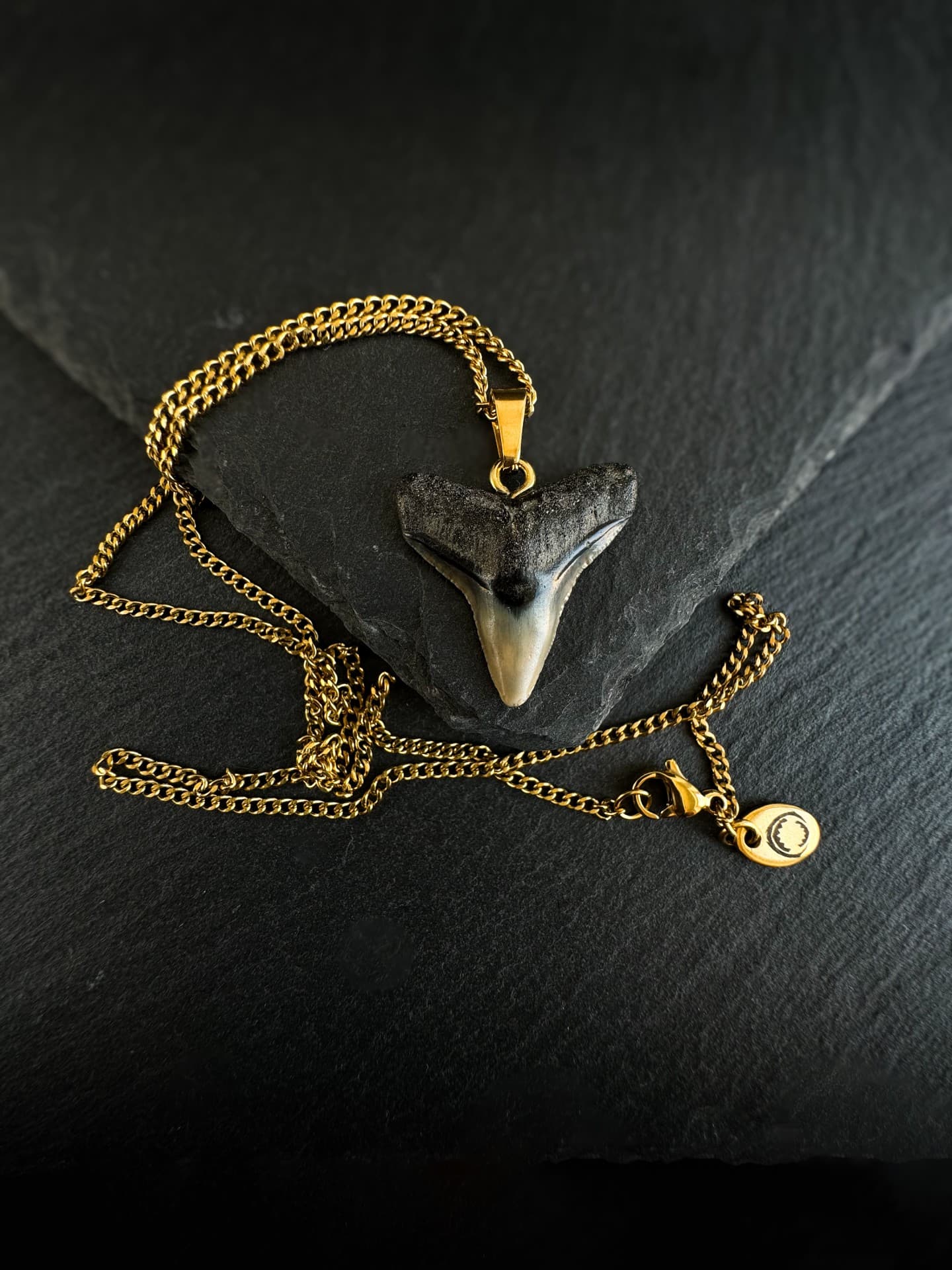 bull shark fossil tooth necklace gold by shark heritage