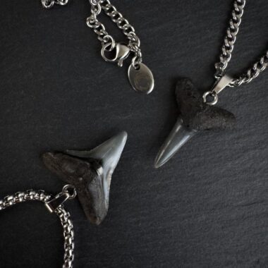 Shark fossilized teeth jewelry