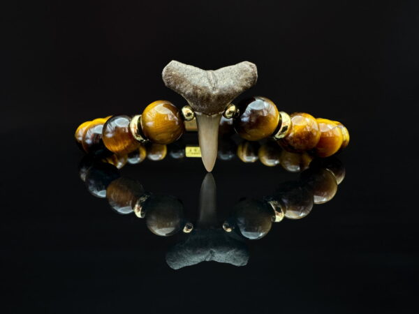 tiger eye gemstone bracelet with fossilized shark tooth