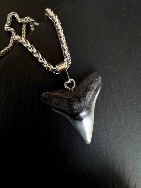 shark tooth necklace for women