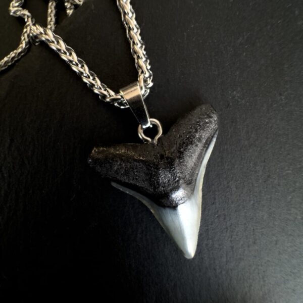 shark tooth necklace for women