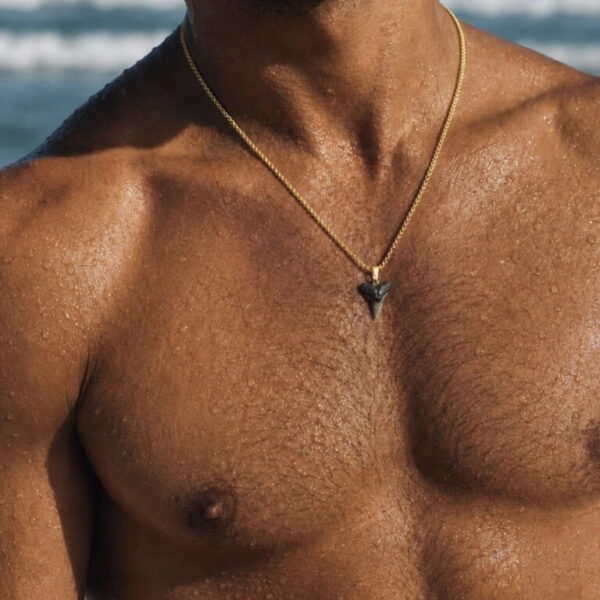 Bull shark tooth necklace with 18k gold PVD plated chain