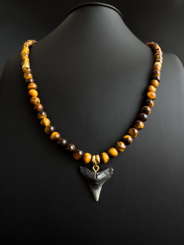 bull-shark-necklace-men